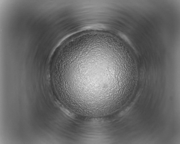 X0000063450923200602031804