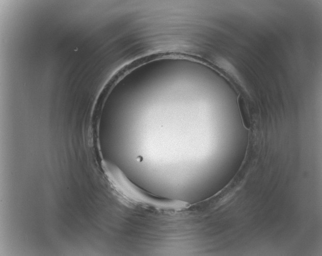 X0000063450924200602031804