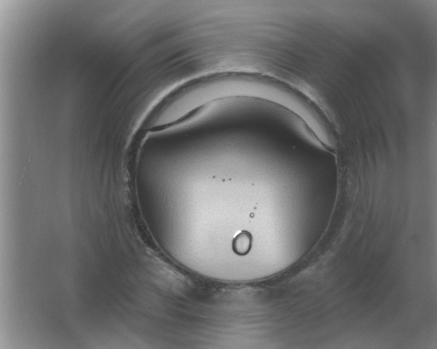 X0000063450926200602031804