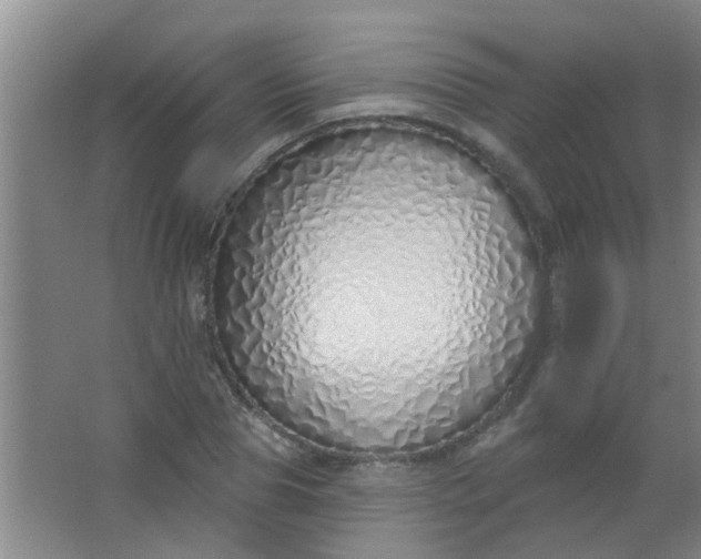 X0000063450929200602031804