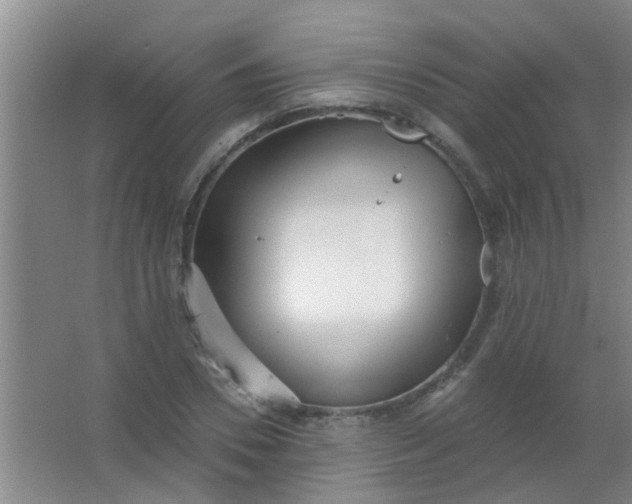 X0000063450930200602031804