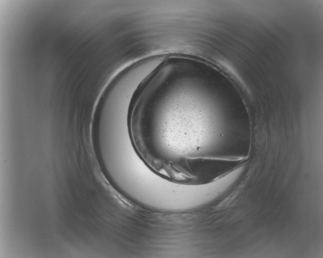 X0000063450932200602031804