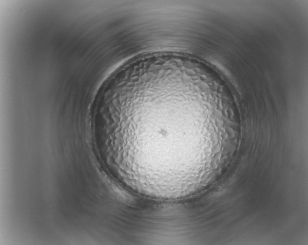 X0000063450933200602031804