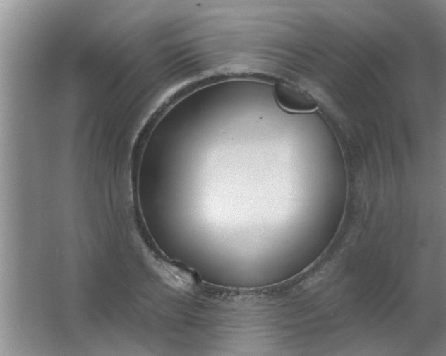 X0000063450934200602031804