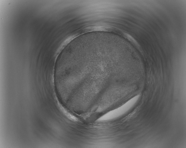 X0000063450938200602031804