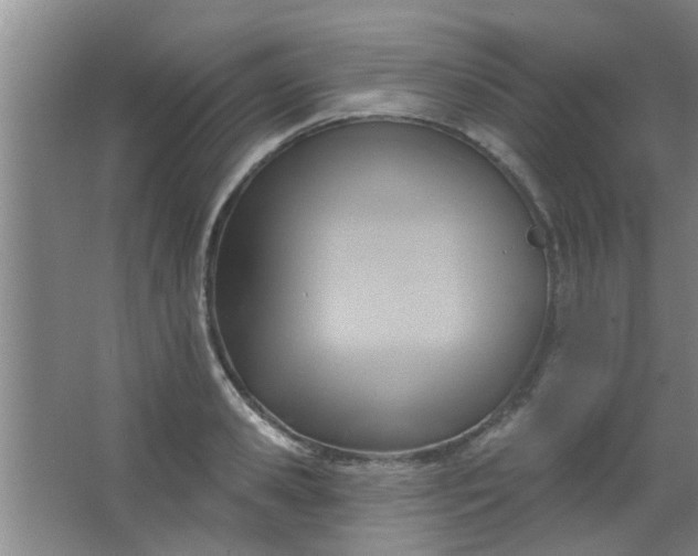 X0000063450941200602031804