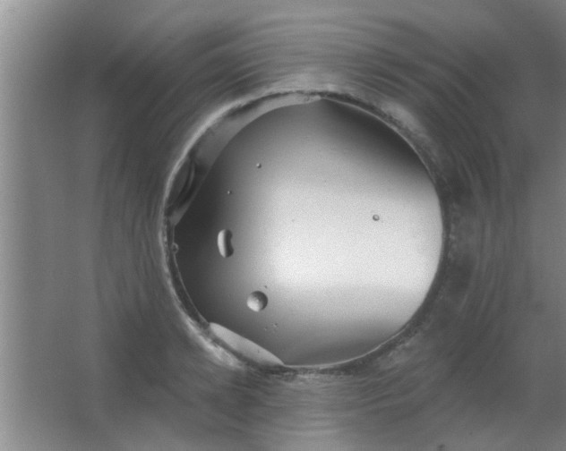 X0000063450942200602031804