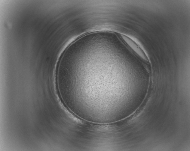 X0000063450949200602031804