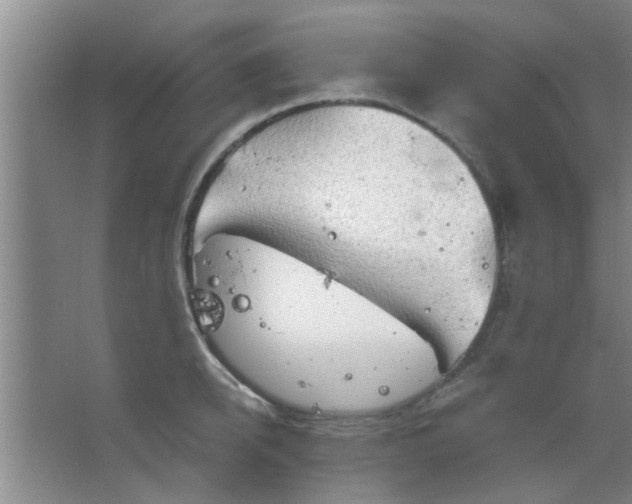 X0000063450950200602031804