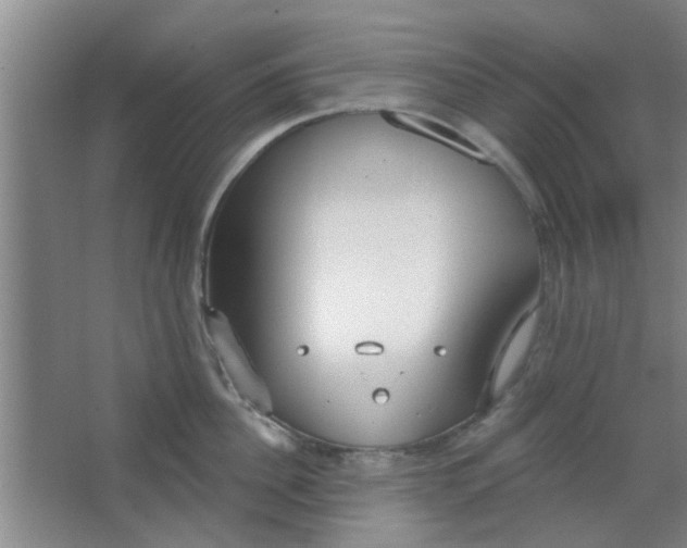 X0000063450956200602031804