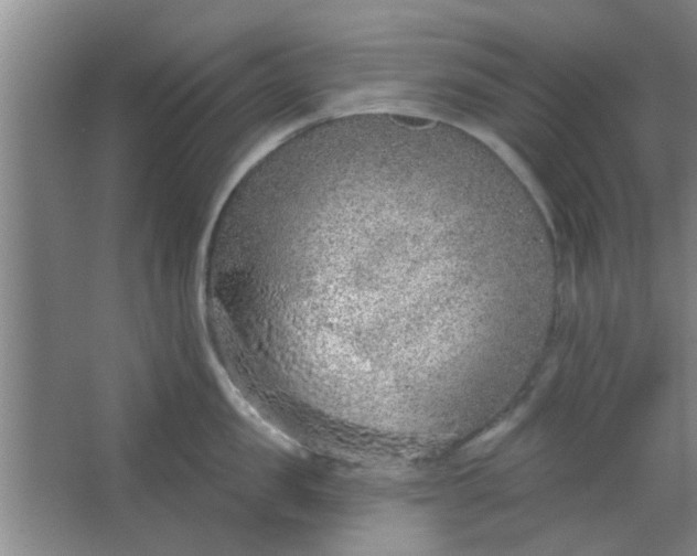 X0000063450957200602031804