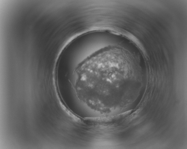 X0000063450958200602031804