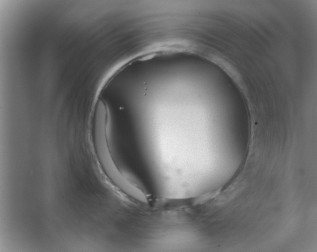 X0000063450960200602031804