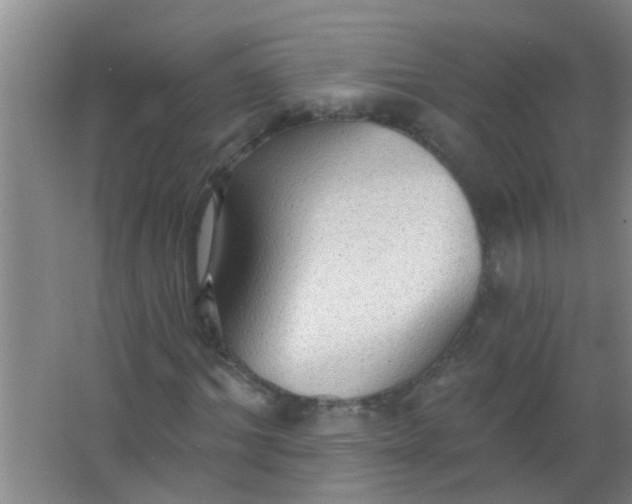 X0000063450964200602031804