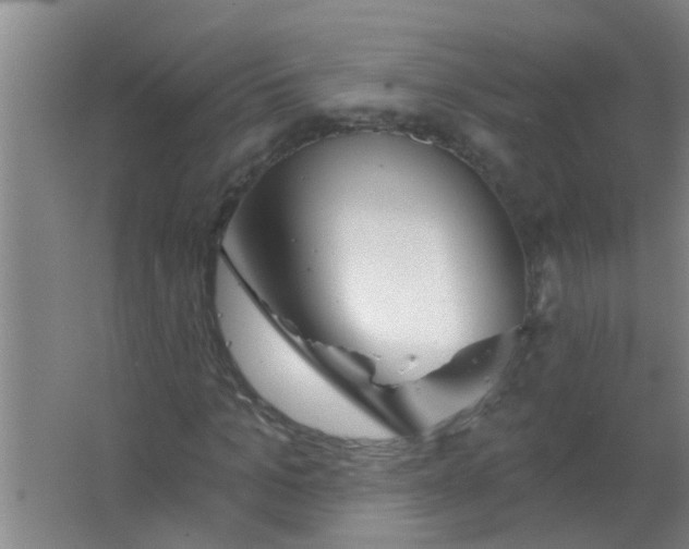 X0000063450965200602031804