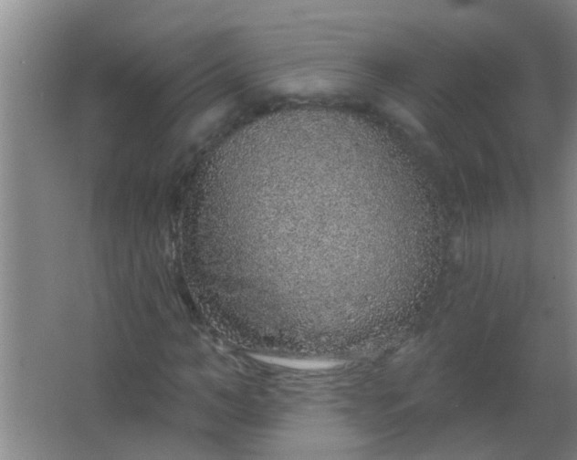 X0000063450966200602031804