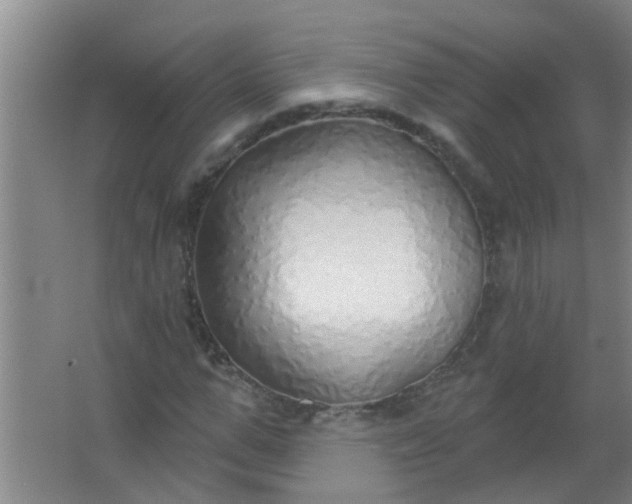 X0000063450967200602031804