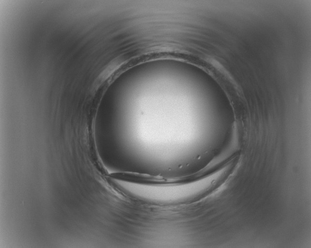 X0000063450969200602031803