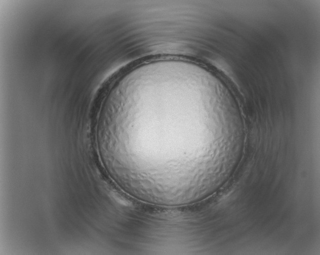 X0000063450971200602031803