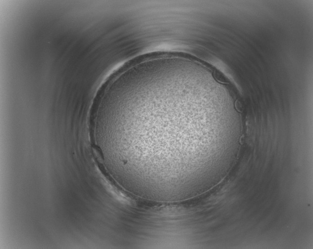 X0000063450972200602031803