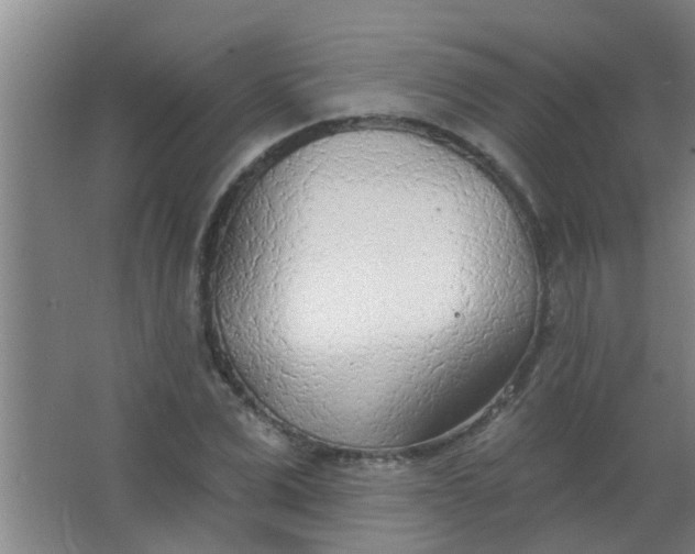 X0000063450975200602031803