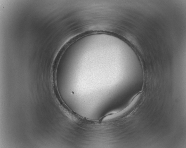 X0000063450976200602031803