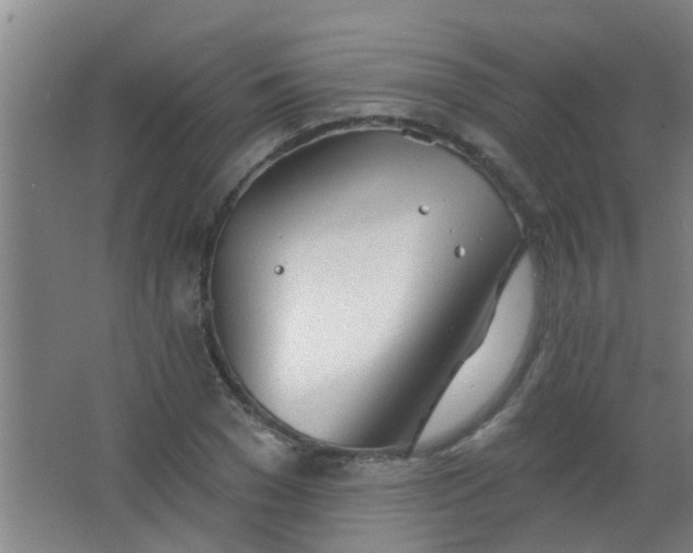 X0000063450977200602031803