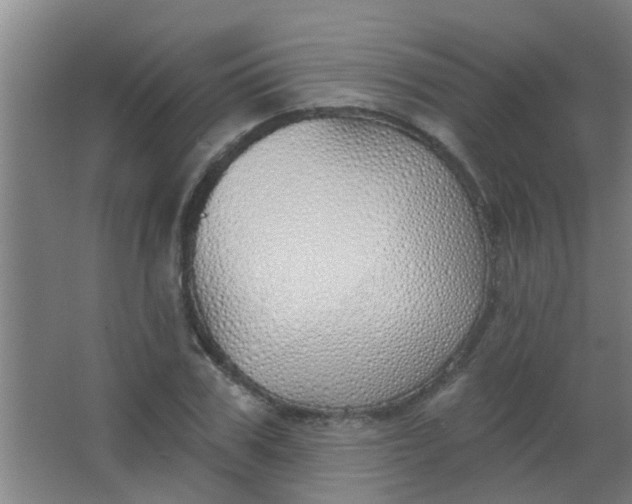 X0000063450979200602031803