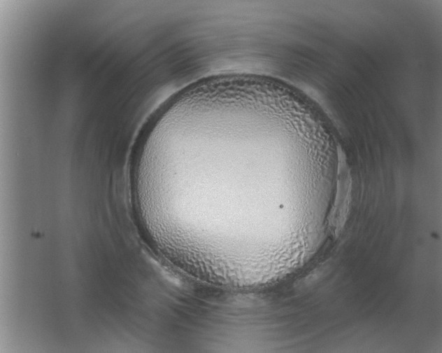 X0000063450982200602031803