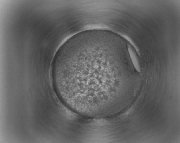 X0000063450983200602031803