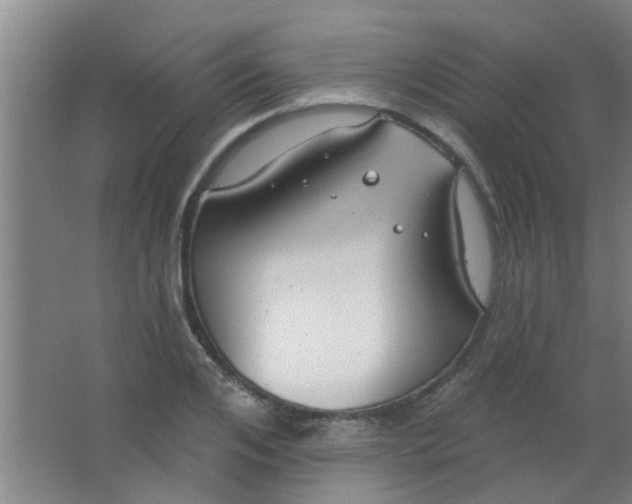 X0000063450984200602031803