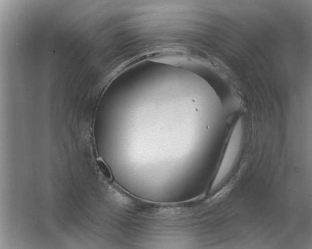 X0000063450985200602031803