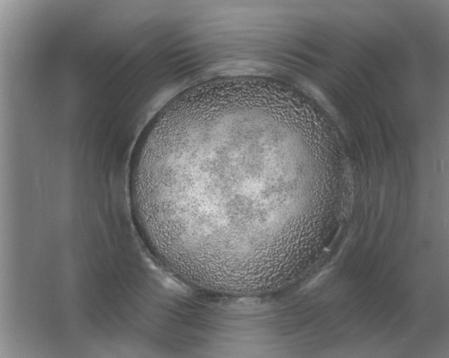 X0000063450986200602031803