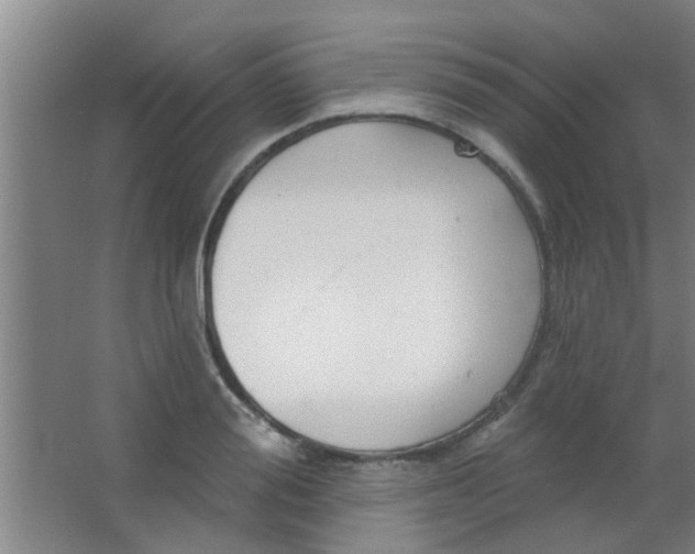 X0000063450988200602031803