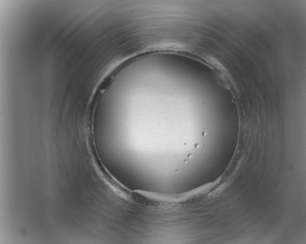 X0000063450989200602031803