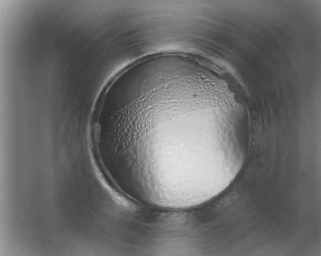 X0000063450991200602031803