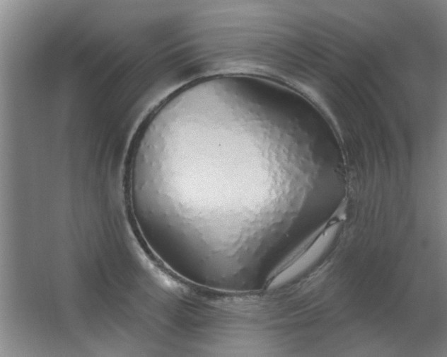 X0000063450995200602031803