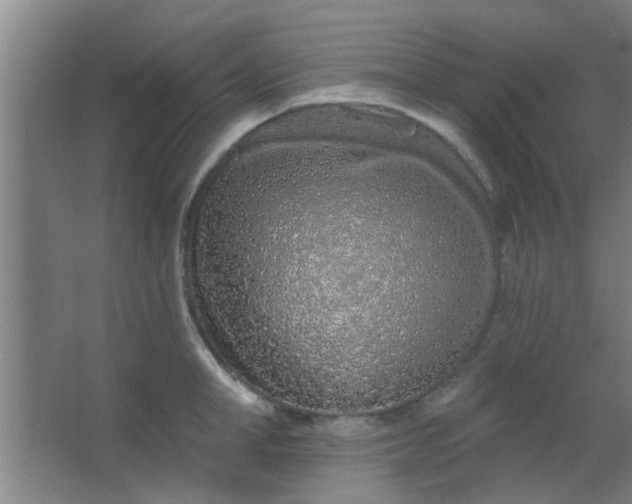 X0000063450998200602031803