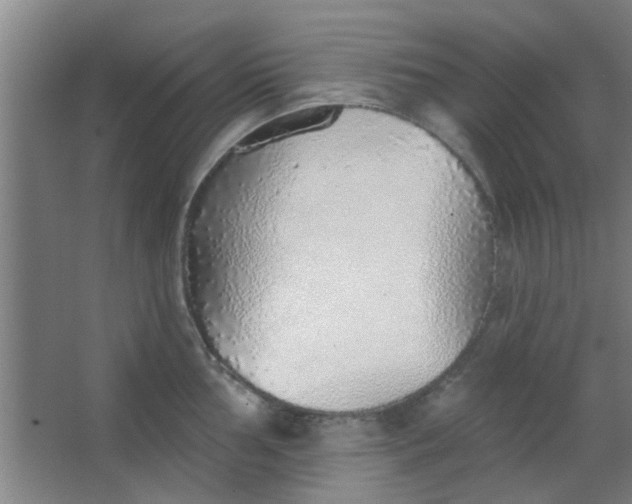 X0000063451002200602031803