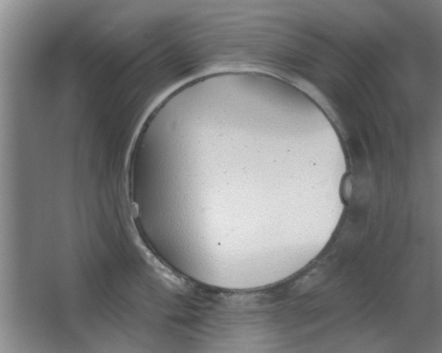 X0000063451004200602031803