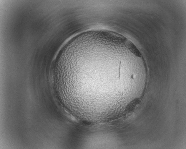 X0000063451008200602031803