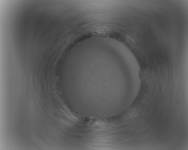 X0000063451009200602031802