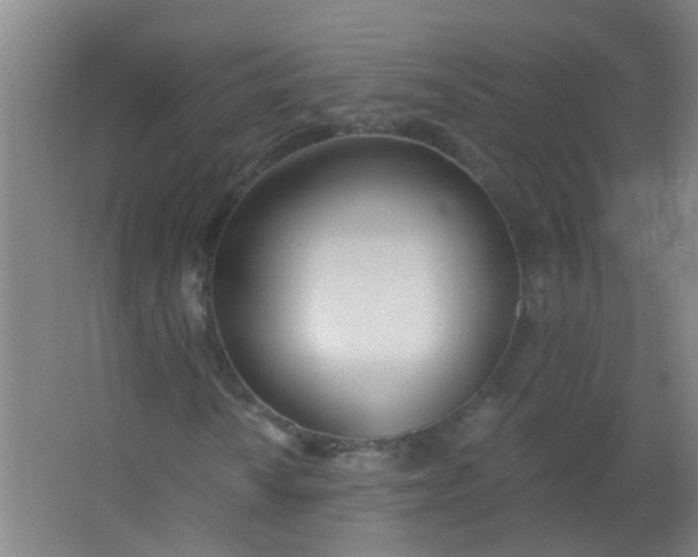 X0000063451010200602031802