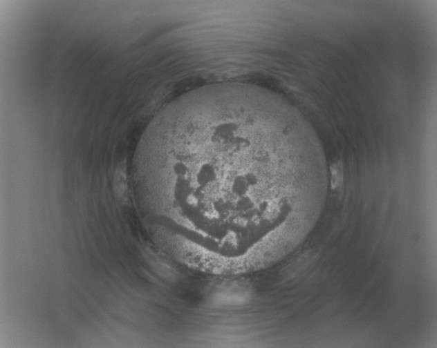 X0000063451011200602031802