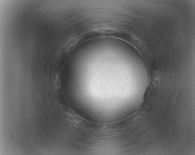 X0000063451014200602031802