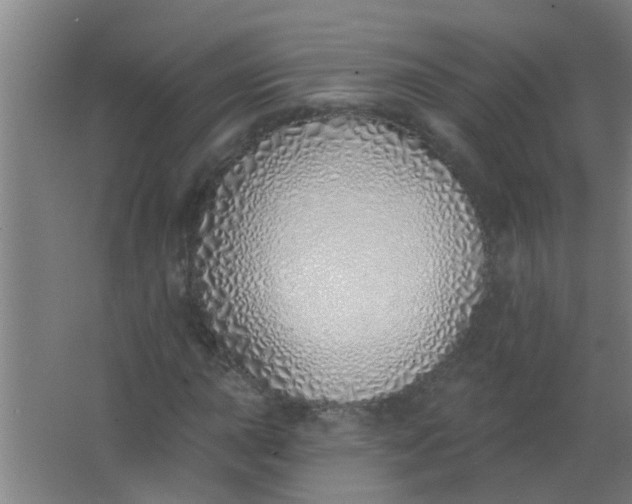 X0000063451015200602031802