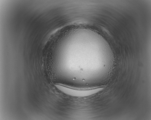 X0000063451016200602031802