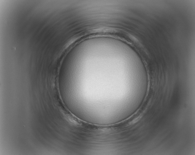 X0000063451017200602031802