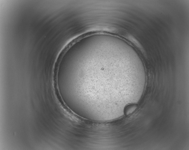 X0000063451020200602031802