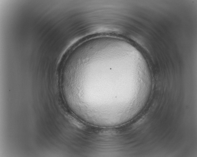 X0000063451021200602031802